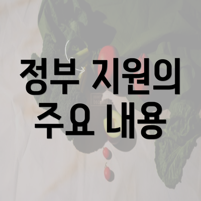 정부 지원의 주요 내용