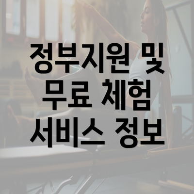 정부지원 및 무료 체험 서비스 정보