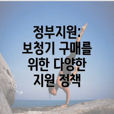 정부지원: 보청기 구매를 위한 다양한 지원 정책