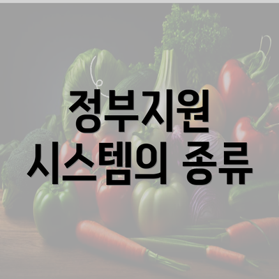 정부지원 시스템의 종류