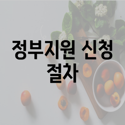 정부지원 신청 절차