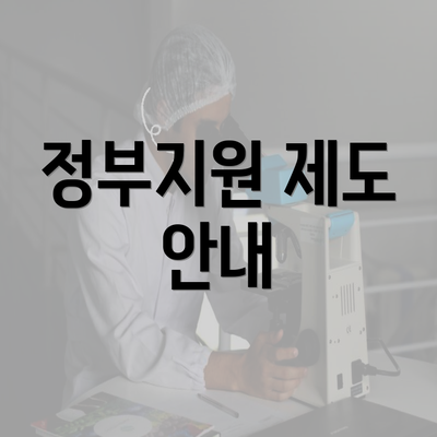 정부지원 제도 안내