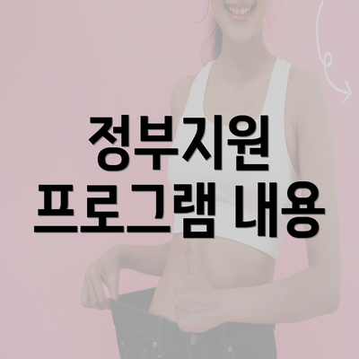 정부지원 프로그램 내용