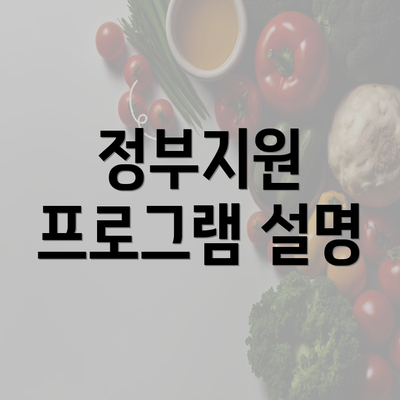 정부지원 프로그램 설명