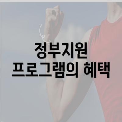 정부지원 프로그램의 혜택