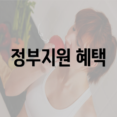 정부지원 혜택