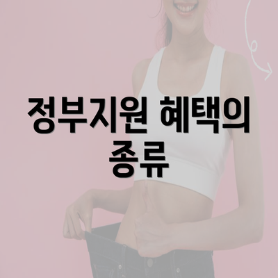 정부지원 혜택의 종류