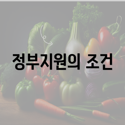 정부지원의 조건