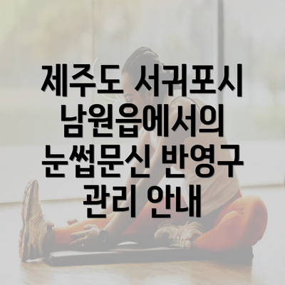 제주도 서귀포시 남원읍에서의 눈썹문신 반영구 관리 안내