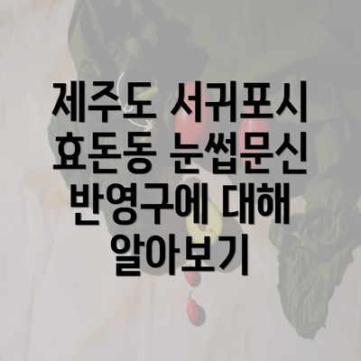 제주도 서귀포시 효돈동 눈썹문신 반영구에 대해 알아보기