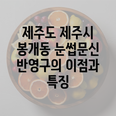 제주도 제주시 봉개동 눈썹문신 반영구의 이점과 특징