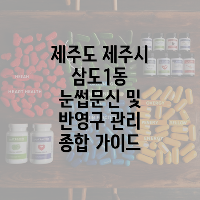 제주도 제주시 삼도1동 눈썹문신 및 반영구 관리 종합 가이드