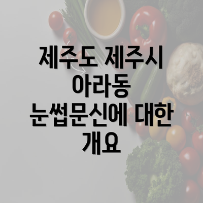 제주도 제주시 아라동 눈썹문신에 대한 개요