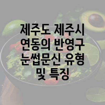 제주도 제주시 연동의 반영구 눈썹문신 유형 및 특징