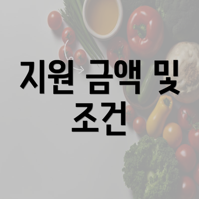 지원 금액 및 조건