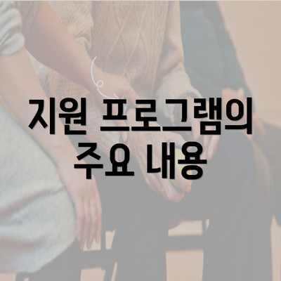 지원 프로그램의 주요 내용