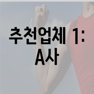 추천업체 1: A사