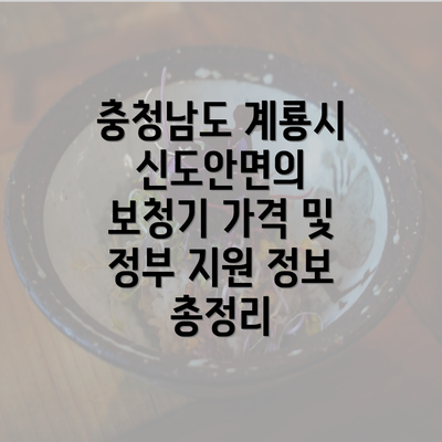 충청남도 계룡시 신도안면의 보청기 가격 및 정부 지원 정보 총정리