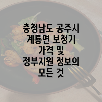 충청남도 공주시 계룡면 보청기 가격 및 정부지원 정보의 모든 것