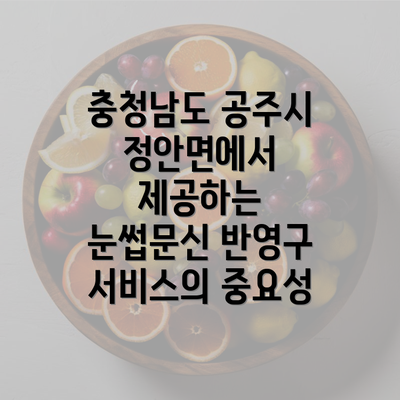 충청남도 공주시 정안면에서 제공하는 눈썹문신 반영구 서비스의 중요성