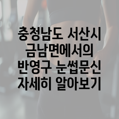 충청남도 서산시 금남면에서의 반영구 눈썹문신 자세히 알아보기