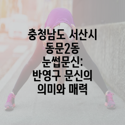 충청남도 서산시 동문2동 눈썹문신의 가격과 비용