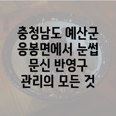 충청남도 예산군 응봉면에서 눈썹 문신 반영구 관리의 모든 것