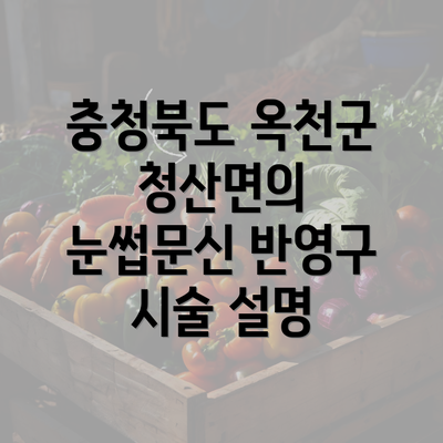 충청북도 옥천군 청산면의 눈썹문신 반영구 시술 설명