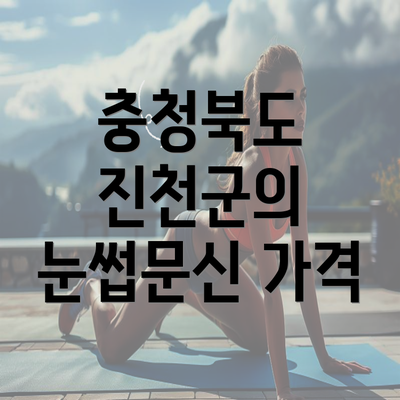 충청북도 진천군의 눈썹문신 가격