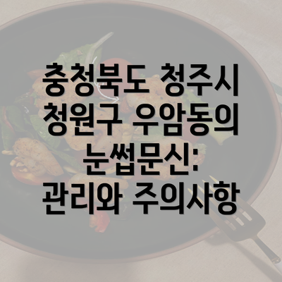 충청북도 청주시 청원구 우암동의 눈썹문신: 관리와 주의사항