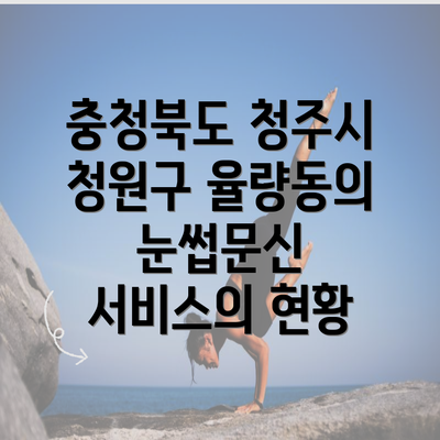 충청북도 청주시 청원구 율량동의 눈썹문신 서비스의 현황