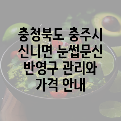 충청북도 충주시 신니면 눈썹문신 반영구 관리와 가격 안내