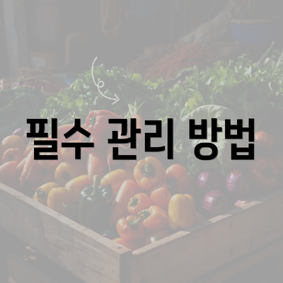 필수 관리 방법