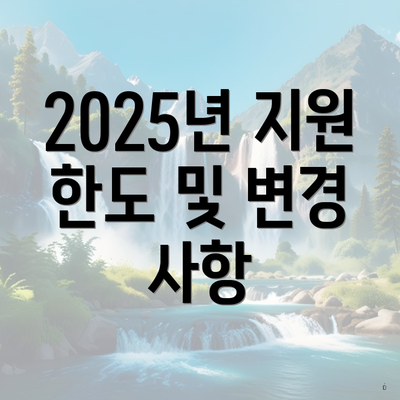 2025년 지원 한도 및 변경 사항