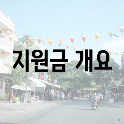 지원금 개요