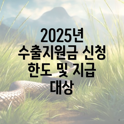 2025년 수출지원금 신청 한도 및 지급 대상