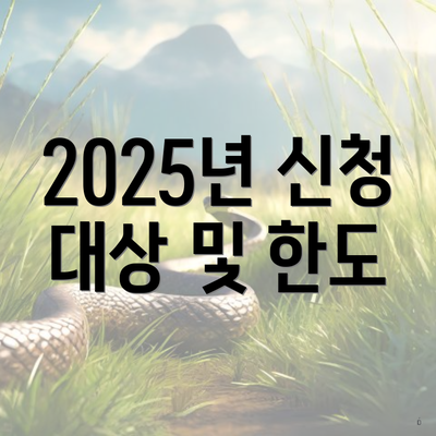 2025년 신청 대상 및 한도