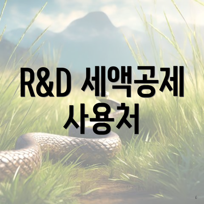 R&D 세액공제 사용처