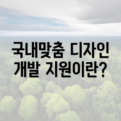 국내맞춤 디자인 개발 지원이란?