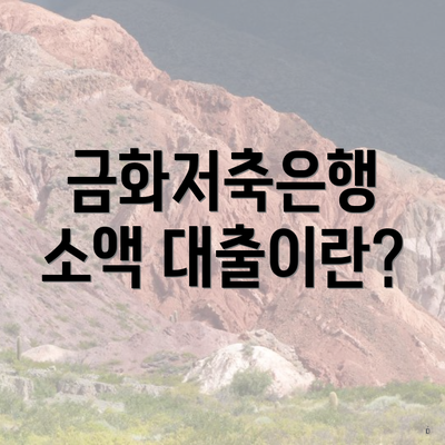 금화저축은행 소액 대출이란?