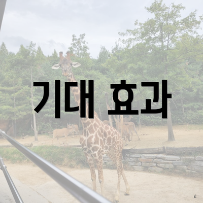 기대 효과