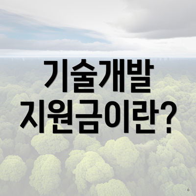 기술개발 지원금이란?