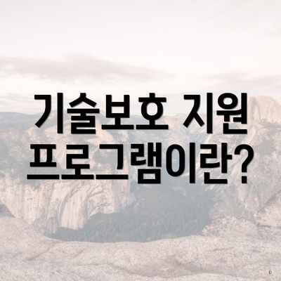 기술보호 지원 프로그램이란?