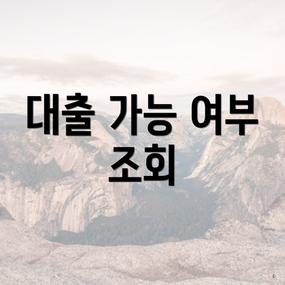 대출 가능 여부 조회