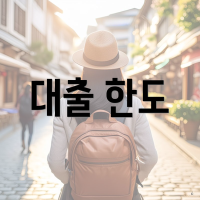 대출 한도