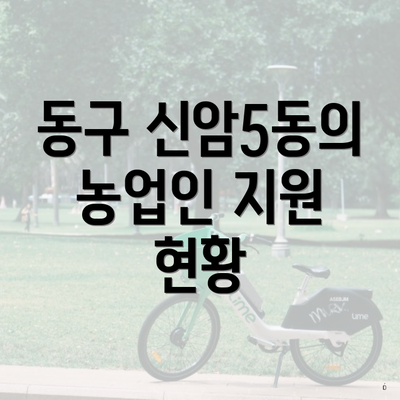 동구 신암5동의 농업인 지원 현황