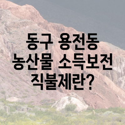 동구 용전동 농산물 소득보전 직불제란?