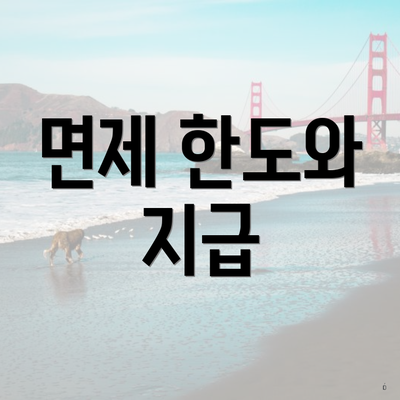 면제 한도와 지급