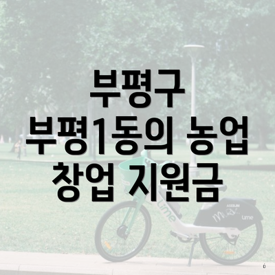 부평구 부평1동의 농업 창업 지원금