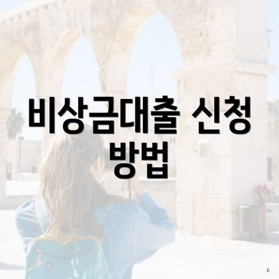 비상금대출 신청 방법